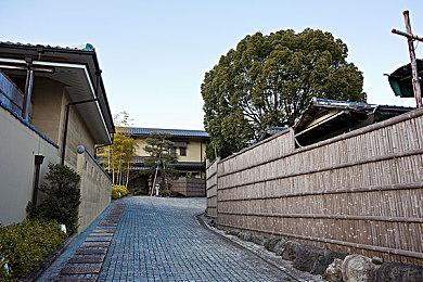 瞎了！《Apex英雄》玩家自制无兜帽版沃特森